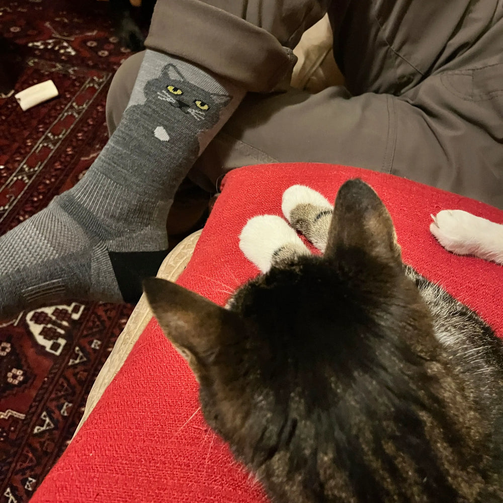 Nimbus Gray